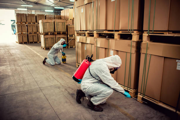 Best Cockroach Control Services  in Carter, TX