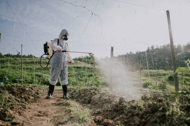 Best Pest Control for Homes  in Carter, TX
