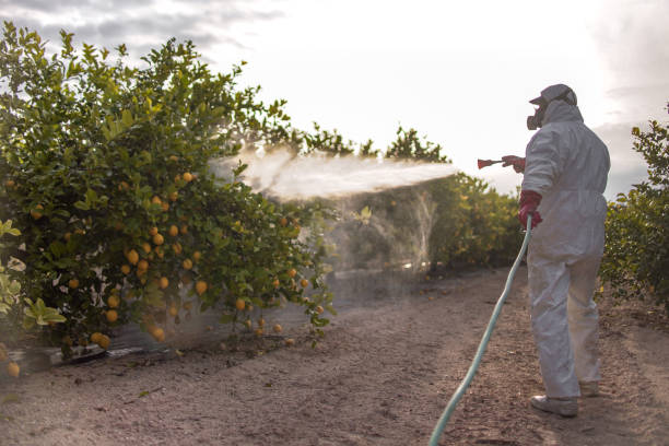 Best Pest Removal Services  in Carter, TX