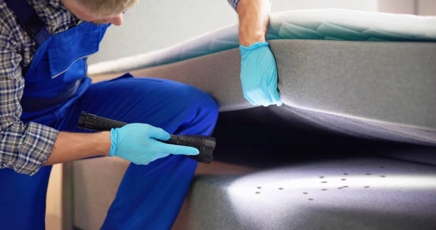 Best Commercial Pest Control Services  in Carter, TX