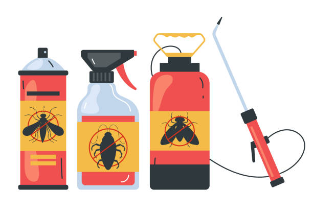 Best Termite Control Services  in Carter, TX