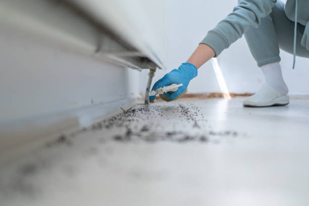 Best Cockroach Control Services  in Carter, TX