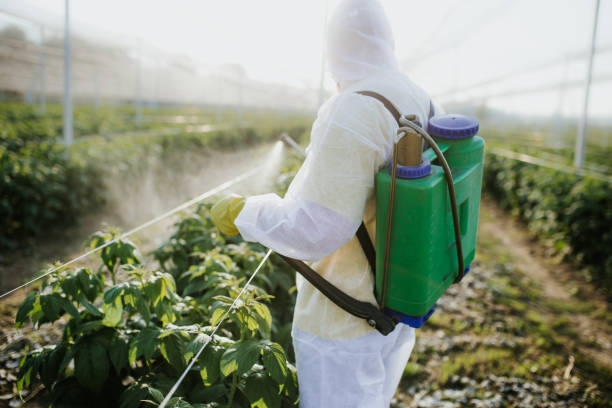 Best Ant Control Services  in Carter, TX